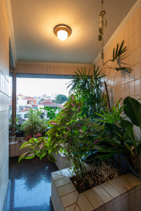 Imagem Apartamento com 4 Quartos à Venda, 490 m² em Bosque Da Saúde - São Paulo Imagem Apartamento com 4 Quartos à Venda, 490 m² em Bosque Da Saúde - São Paulo