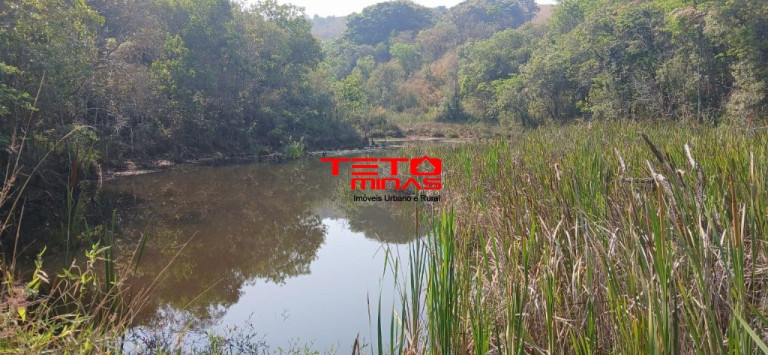 Imagem Imóvel com 4 Quartos à Venda,  em Zona Rural - Conceição Do Rio Verde