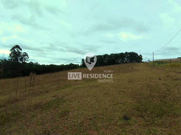 Imagem Chácara à Venda, 29.000 m² em Biriça Do Valado - Bragança Paulista Imagem Chácara à Venda, 29.000 m² em Biriça Do Valado - Bragança Paulista