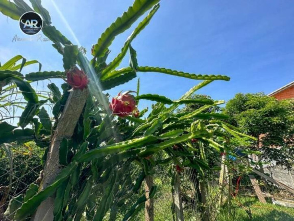 Chácara com 2 Quartos à Venda, 250 m² em Machadinho - Jarinu