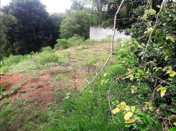 Imagem Terreno à Venda, 3 m² em Parque Rincão - Cotia Imagem Terreno à Venda, 3 m² em Parque Rincão - Cotia
