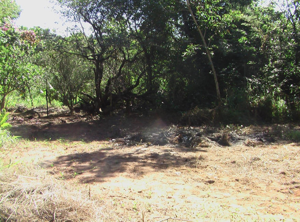 Imagem Imóvel com 1 Quarto à Venda, 21.000 m² em Zona Rural - Palmeiras (dois Irmãos Do Buriti)