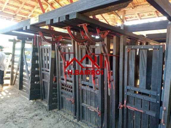 Imagem Fazenda à Venda, 2.541 m² em Centro - Silveiras Imagem Fazenda à Venda, 2.541 m² em Centro - Silveiras