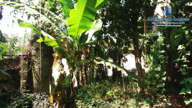 Imagem Chácara à Venda, 1.969 m² em Baldeador - São Gonçalo Imagem Chácara à Venda, 1.969 m² em Baldeador - São Gonçalo