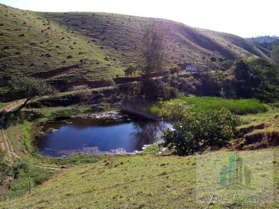 Imagem Chácara com 2 Quartos à Venda, 14.000 m² em Centro - Igaratá