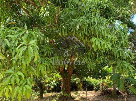 Imagem Chácara com 3 Quartos à Venda, 200 m² em Barra Do Pojuca - Camaçari