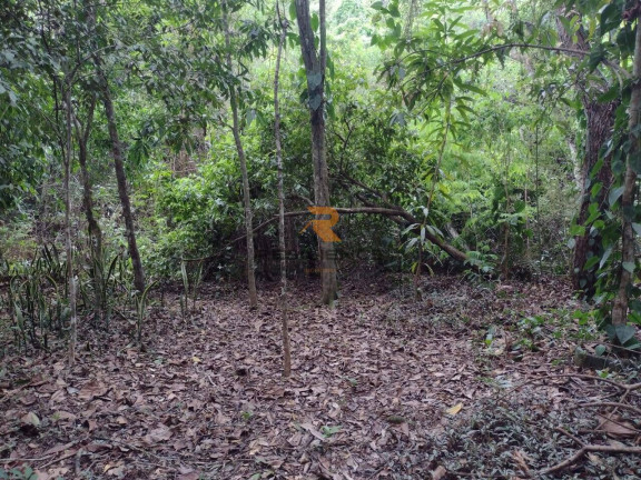 Imagem Casa de Condomínio com 3 Quartos à Venda, 200 m² em Campinho - Lagoa Santa