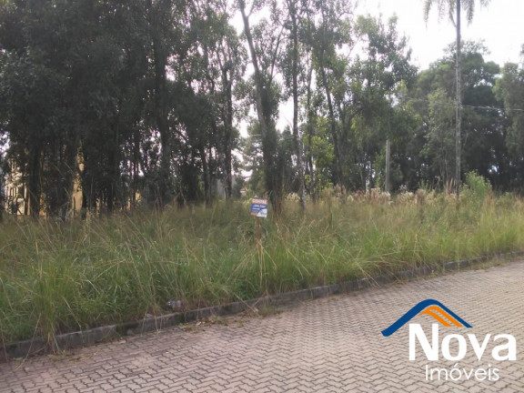 Imagem Imóvel à Venda, 450 m² em Pousada Da Neve - Nova Petrópolis Imagem Imóvel à Venda, 450 m² em Pousada Da Neve - Nova Petrópolis