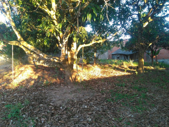 Imagem Chácara com 2 Quartos à Venda, 1.180 m² em Campo Do Meio - Araçoiaba Da Serra Imagem Chácara com 2 Quartos à Venda, 1.180 m² em Campo Do Meio - Araçoiaba Da Serra