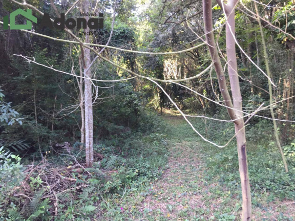 Imagem Chácara à Venda, 4 m² em Pinhal - Cabreúva Imagem Chácara à Venda, 4 m² em Pinhal - Cabreúva