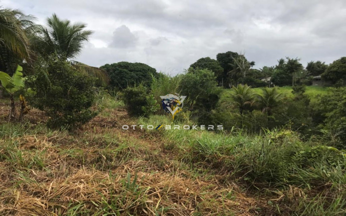 Imagem Terreno à Venda, 7.500 m² em Tânia - Santa Cruz Cabrália