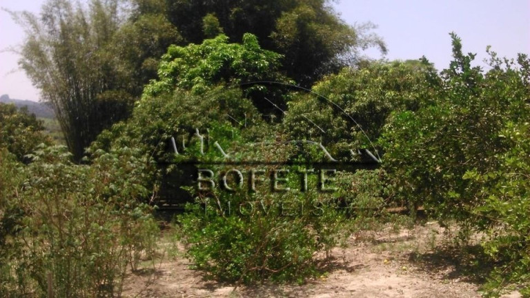 Imagem Imóvel com 2 Quartos à Venda, 20.000 m² em Rural - Bofete Imagem Imóvel com 2 Quartos à Venda, 20.000 m² em Rural - Bofete
