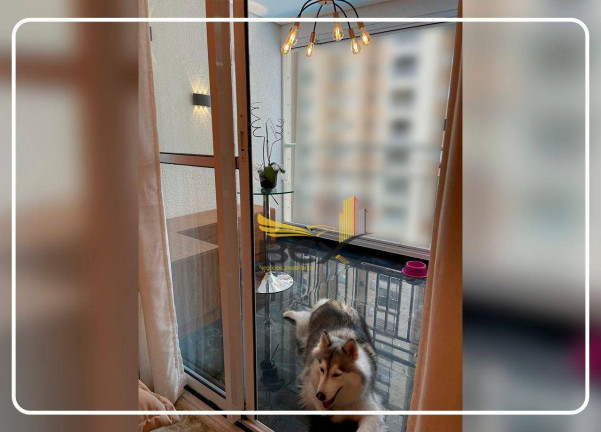 Imagem Apartamento com 3 Quartos à Venda, 85 m² em Jardim Tupanci - Barueri Imagem Apartamento com 3 Quartos à Venda, 85 m² em Jardim Tupanci - Barueri
