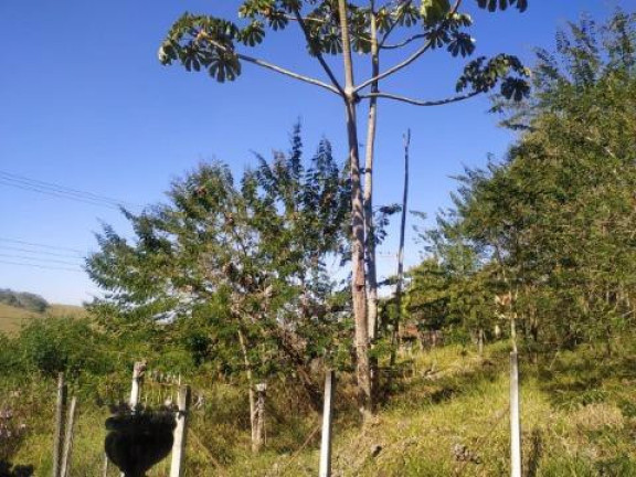 Imagem Terreno à Venda, 531 m² em Pouso Alegre - Santa Isabel