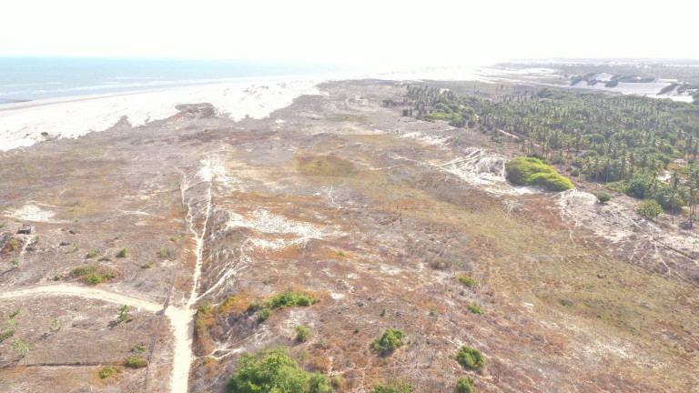 Terreno à Venda, 20.000 m² em Praia De Bitupitá - Barroquinha