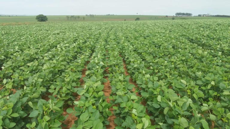 Imagem Fazenda à Venda, 632 m² em Rural - Echaporã