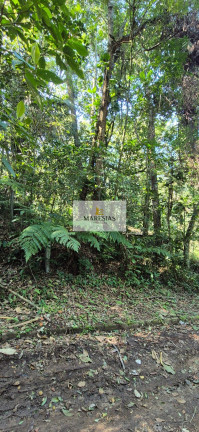 Imagem Terreno à Venda, 300 m² em Maresias - São Sebastião Imagem Terreno à Venda, 300 m² em Maresias - São Sebastião