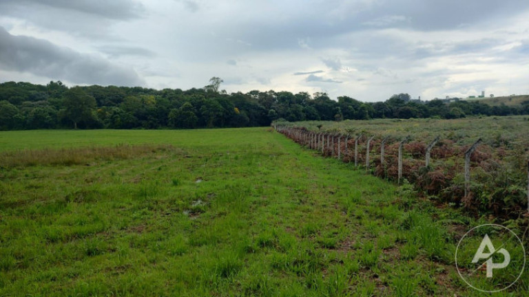 Imagem Terreno à Venda, 81.332 m² em Colônia Dona Luíza - Ponta Grossa