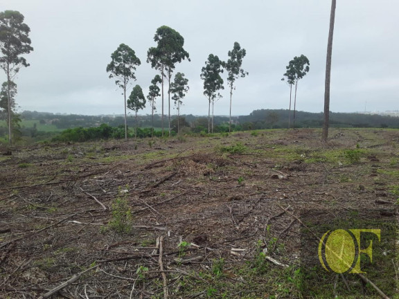 Imagem Chácara à Venda, 4 m² em Tres Coqueiros - Avaré Imagem Chácara à Venda, 4 m² em Tres Coqueiros - Avaré