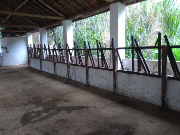 Imagem Fazenda à Venda, 600 m² em Lagoa - Paraibuna