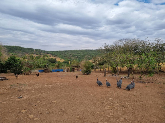 Imagem Fazenda à Venda, 9 m² em Interlândia - Anápolis Imagem Fazenda à Venda, 9 m² em Interlândia - Anápolis