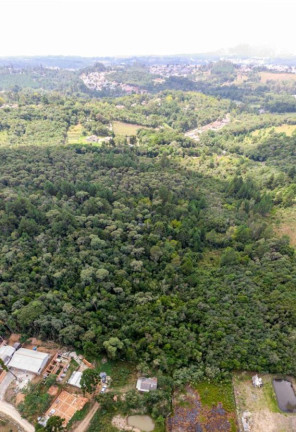 Imagem Terreno à Venda, 19.600 m² em Colônia Faria - Colombo