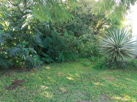 Imagem Terreno à Venda, em Ipanema - Porto Alegre Imagem Terreno à Venda, em Ipanema - Porto Alegre