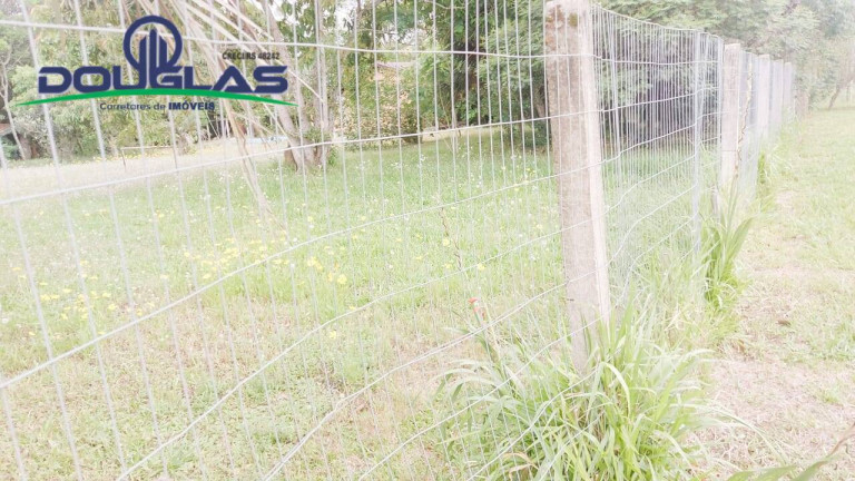Imagem Terreno à Venda, 1.000 m² em águas Claras - Viamão