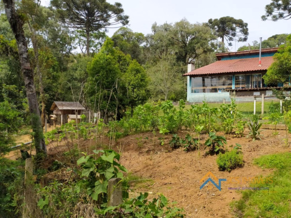 Imagem Chácara com 3 Quartos à Venda, 194 m² em Campestre Da Faxina - São José Dos Pinhais Imagem Chácara com 3 Quartos à Venda, 194 m² em Campestre Da Faxina - São José Dos Pinhais