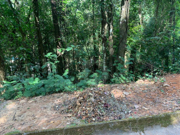 Imagem Terreno em Condomínio à Venda, 1.060 m² em Condomínio Retiro Do Chalé - Brumadinho Imagem Terreno em Condomínio à Venda, 1.060 m² em Condomínio Retiro Do Chalé - Brumadinho