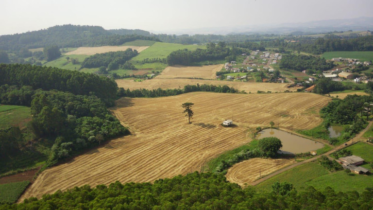 Imagem Terreno à Venda, 136.699 m² em Tamanduá - Concórdia Imagem Terreno à Venda, 136.699 m² em Tamanduá - Concórdia