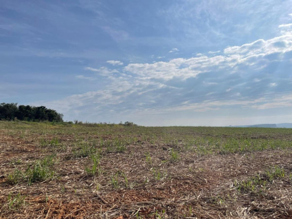 Imagem Fazenda à Venda, 38 m² em Rural - Piraju