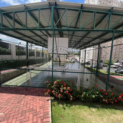 Imagem Apartamento com 2 Quartos à Venda, 43 m² em Fundação Da Casa Popular - Campinas Imagem Apartamento com 2 Quartos à Venda, 43 m² em Fundação Da Casa Popular - Campinas