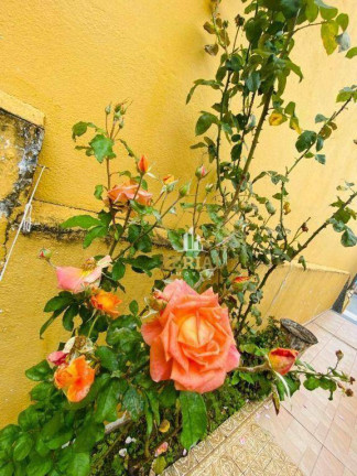 Imagem Casa com 2 Quartos à Venda, 180 m² em Santa Maria - São Caetano Do Sul Imagem Casa com 2 Quartos à Venda, 180 m² em Santa Maria - São Caetano Do Sul