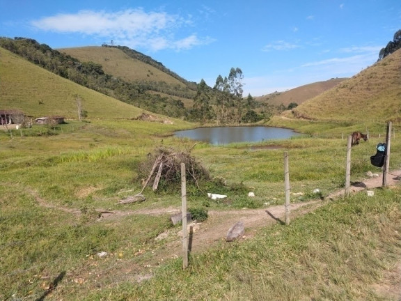Imagem Fazenda à Venda, 90 m² em Centro - São Luíz Do Paraitinga
