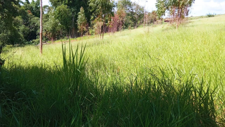 Imagem Chácara à Venda, 2 m² em Rural - Arandu Imagem Chácara à Venda, 2 m² em Rural - Arandu