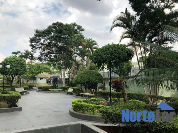 Imagem Apartamento com 2 Quartos à Venda, 70 m² em Vila Amélia - São Paulo Imagem Apartamento com 2 Quartos à Venda, 70 m² em Vila Amélia - São Paulo