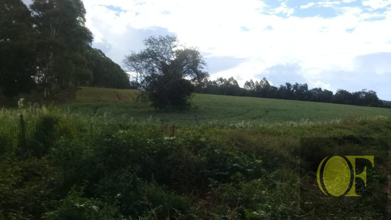 Imagem Fazenda à Venda, 75 m² em Rural - Paranapanema Imagem Fazenda à Venda, 75 m² em Rural - Paranapanema