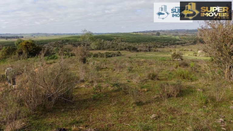 Imagem Imóvel com 2 Quartos à Venda, 580.000 m² em Centro - Canguçu