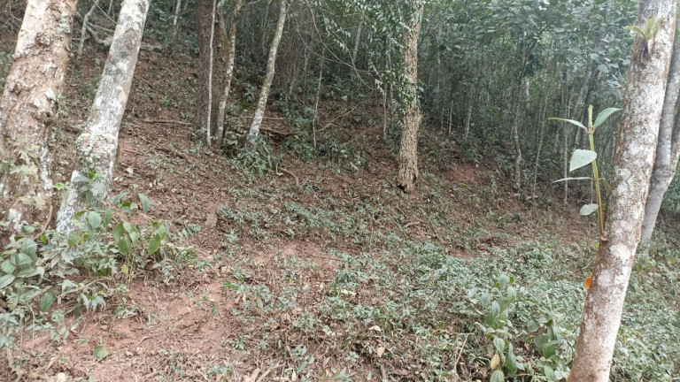Imagem Chácara com 2 Quartos à Venda, 250 m² em Centro - Paraibuna