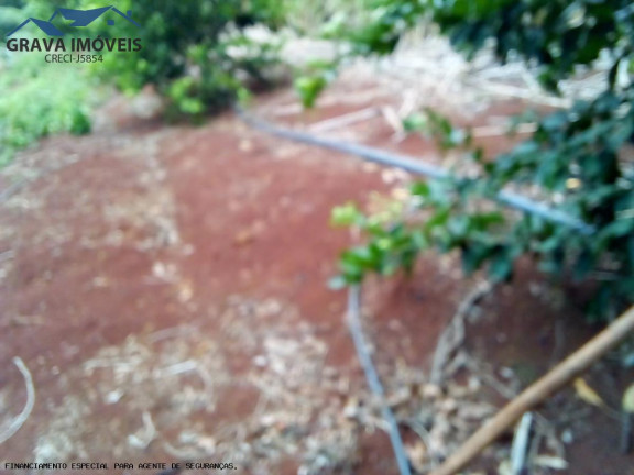 Imagem Chácara com 2 Quartos à Venda, 14.000 m² em Estrada Santa Fe - Marialva Imagem Chácara com 2 Quartos à Venda, 14.000 m² em Estrada Santa Fe - Marialva