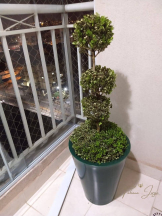 Imagem Apartamento com 2 Quartos à Venda, 60 m² em Vila João Jorge - Campinas