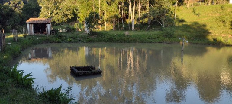 Imagem Chácara com 2 Quartos à Venda, 150 m² em Zona Rural - São Luíz Do Paraitinga Imagem Chácara com 2 Quartos à Venda, 150 m² em Zona Rural - São Luíz Do Paraitinga