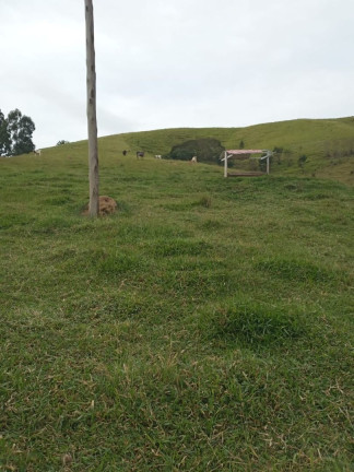 Imagem Chácara com 2 Quartos à Venda, 200 m² em Vila Amelia - Paraibuna Imagem Chácara com 2 Quartos à Venda, 200 m² em Vila Amelia - Paraibuna