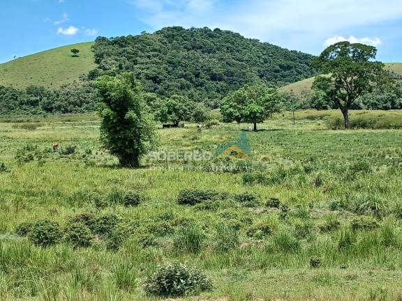 Imagem Imóvel com 3 Quartos à Venda, 4.840.000 m² em Embaú - Silva Jardim Imagem Imóvel com 3 Quartos à Venda, 4.840.000 m² em Embaú - Silva Jardim
