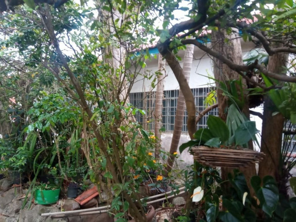 Imagem Terreno à Venda, 1.060 m² em Vila Amorim - Suzano Imagem Terreno à Venda, 1.060 m² em Vila Amorim - Suzano