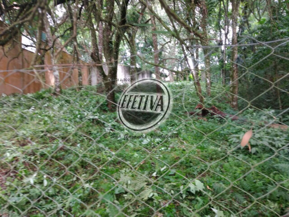 Imagem Terreno à Venda, 495 m² em Santa Felicidade - Curitiba Imagem Terreno à Venda, 495 m² em Santa Felicidade - Curitiba