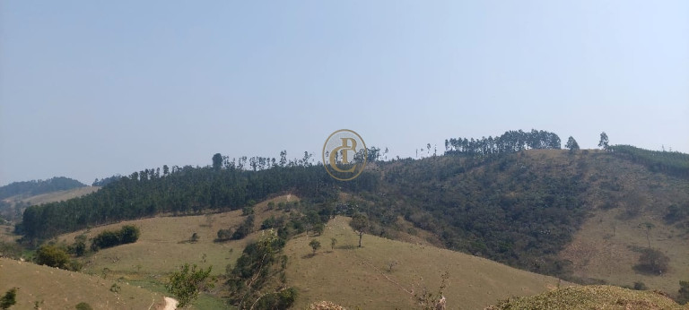 Chácara à Venda,  em Natividade Da Serra - Natividade Da Serra