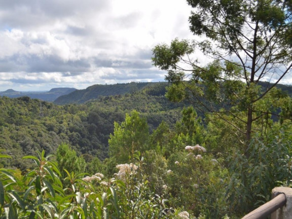 Imagem Terreno à Venda, 800 m² em Vale Dos Pinheiros - Gramado Imagem Terreno à Venda, 800 m² em Vale Dos Pinheiros - Gramado