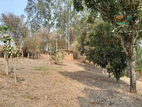 Imagem Fazenda à Venda, 25.800 m² em Caconde - Caconde